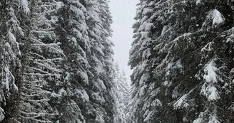 Sentier Raquettes Boucle de Bellecombe