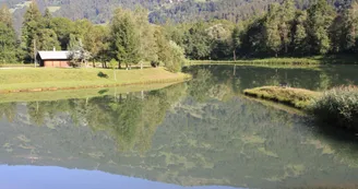 Etang de Marcôt en été