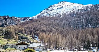 Circuit de randonnée : le Monal depuis les Maisonnettes_Sainte-Foy-Tarentaise Circuit de randonnée : le Monal depuis les Maisonnettes_Sainte-Foy-Tarentaise
