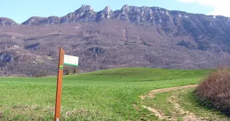 Circuit VTT des Maisons Fortes - n°12