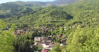 31553075.jpg 31553075.jpg