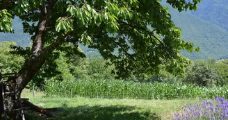 Beauchamp Saint-Leger