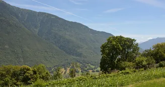 Beauchamp Saint-Leger