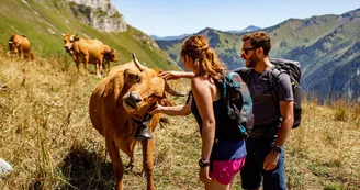 La croix d'Allant La croix d'Allant