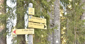 Piste VTC rouge Plan Goy Au départ de la Féclaz Piste VTC rouge Plan Goy Au départ de la Féclaz