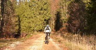 Piste VTC rouge Plan Goy Au départ de la Féclaz Piste VTC rouge Plan Goy Au départ de la Féclaz