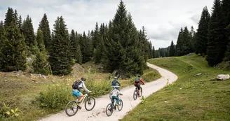 Piste VTT FFC verte 1 - La Féclaz