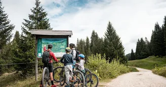 Piste VTT FFC verte 1 - La Féclaz