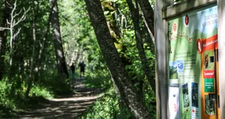 Sentier de Sorlinette_Saint-Sorlin-d'Arves