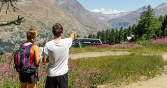 Ouillon des arcellins par la canopee des cimes_Val-Cenis