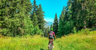 Itinéraire VTT Bois Croizelin