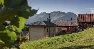 Chemin de Montgésin