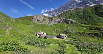 A la découverte des Glaciers