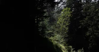 Itinéraire Bois des Fornettes Itinéraire Bois des Fornettes