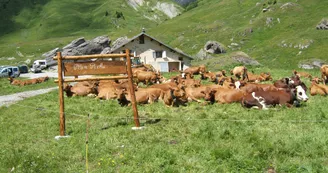 Plan Pichu vallée de la Plagne Plan Pichu vallée de la Plagne