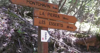 Le Chemin de la Pierra