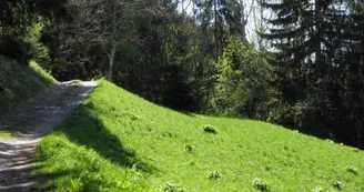 Le Chemin de la Pierra