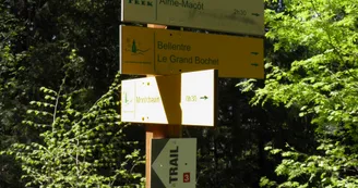 Le Chemin de la Pierra