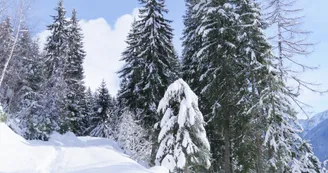 Itinéraire des Dôdes