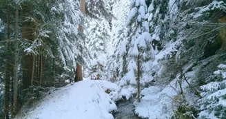 Balade à raquettes/piétons - Le Grand Bief_Aime-la-Plagne