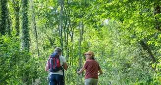 Les voies de l'Épine - Voie romaine et voie sarde à Aiguebelette-le-Lac