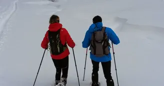 Randonnée raquettes Randonnée raquettes