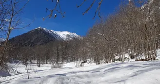 Itinéraire raquette : Le Martinan_Saint-Colomban-des-Villards