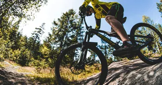 VTT