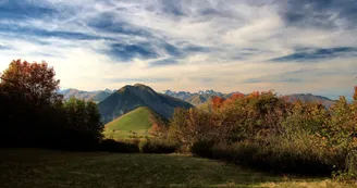 Paysage