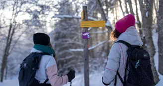 Découverte des Bottières