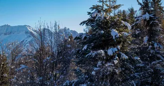 Le sentier du haut de Jarrier