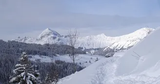 Vue depuis Le Mont-Rond