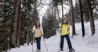 Itinéraire piéton raquettes : Sentier de découverte_Aussois