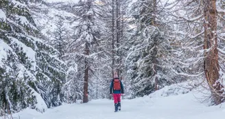 Itinéraire piéton raquettes  : Baraque des Douaniers_Val-Cenis