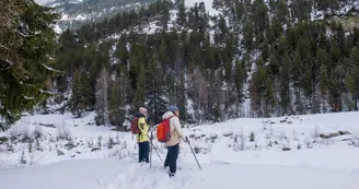 Itinéraire piéton raquettes  : Sentier de Val Cenis le Haut_Val-Cenis