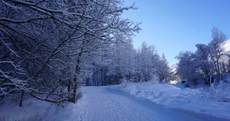Boucle de Valloire aux Verneys - Itinéraire de randonnée pédestre_Valloire Boucle de Valloire aux Verneys - Itinéraire de randonnée pédestre_Valloire