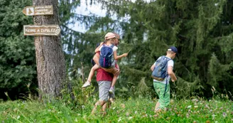 Sur le chemin de la pierre à cupules_Feissons-sur-Salins