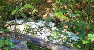 Le long de la rivière sur le chemin de la boucle Cul de l'Ane - Bozel