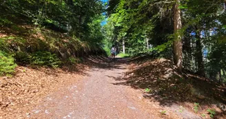 Sur le chemin de la boucle Cul de l'Ane - Bozel