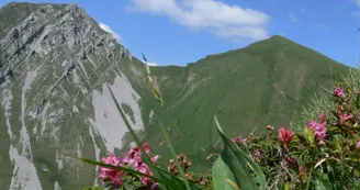 Armenaz et Pécloz Armenaz et Pécloz
