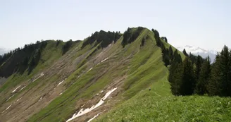 La Chaurionde