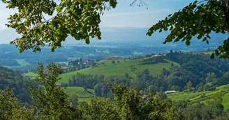 Circuit du Mont Tournier