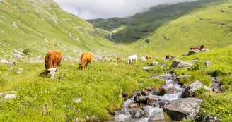 Boucle des Chalets du Vallon - Itinérance pédestre en 2 ou 3 jours_Valloire Boucle des Chalets du Vallon - Itinérance pédestre en 2 ou 3 jours_Valloire