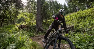 la-norma-vtt