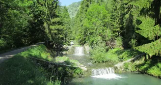 3908594.jpg 3908594.jpg