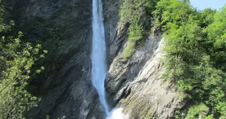 3908599.jpg 3908599.jpg