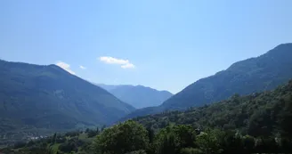 3908602.jpg 3908602.jpg