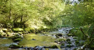 Nant d'Aillon
