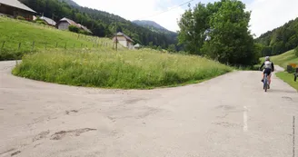 4222848.jpg