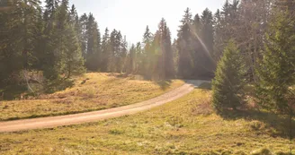 Piste bleue La cavale